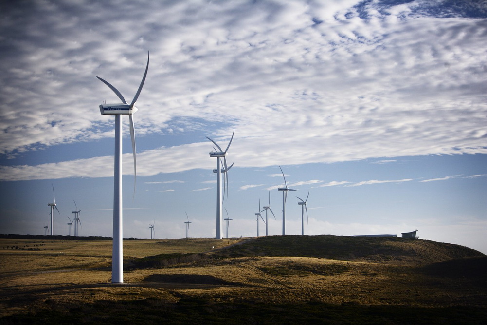 На фото: вітряна електростанція Woolnorth в Тасманії/Wind Denmark