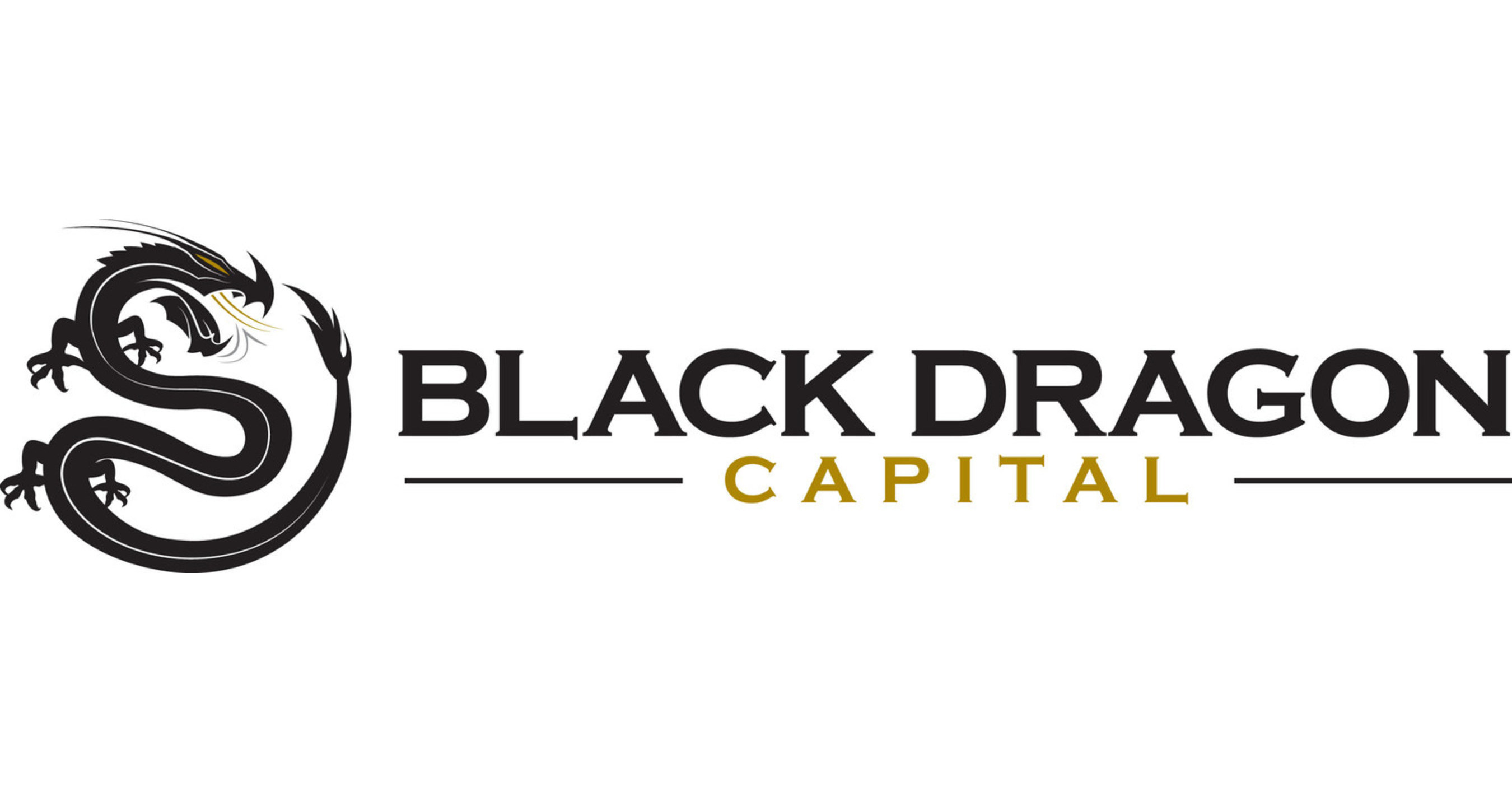 (PRNewsfoto/Black Dragon Capital)